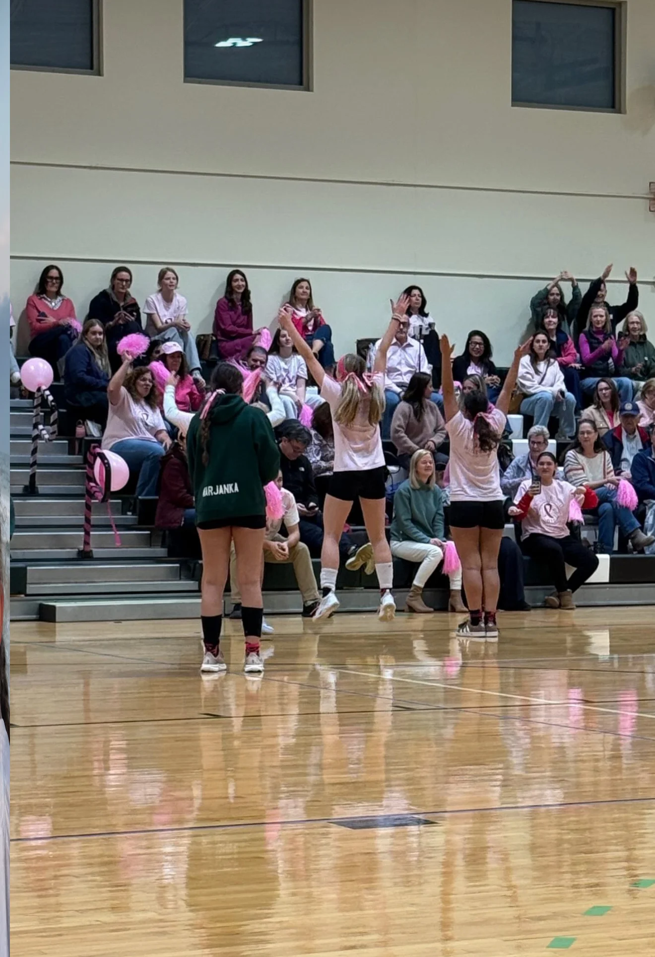 Dig Pink 2.webp